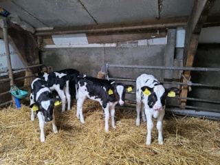 1-31fb9525ca4741fd880798acf3926ceb