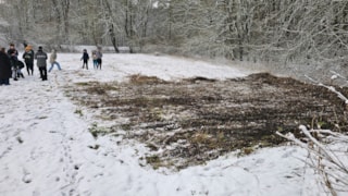 1-5a7fae470e8946b3bb03f13d12062d36