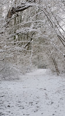 1-777dbeaf0e5f4a478158f2a5f3a61b6f