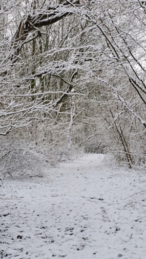 1-777dbeaf0e5f4a478158f2a5f3a61b6f