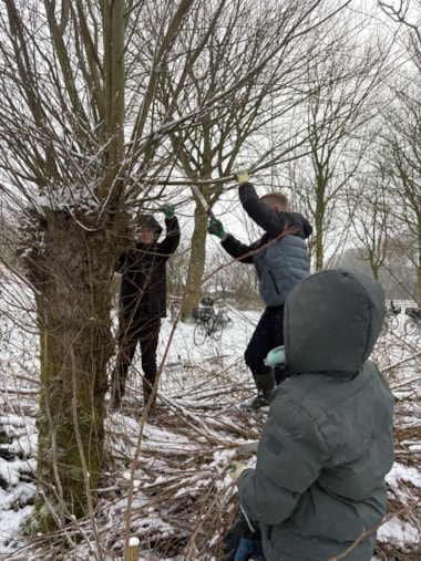 e51b7114-31c0-4f07-a125-637ac2b1bcf5