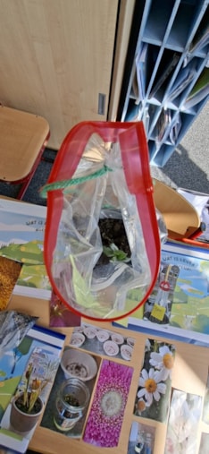 45f4e02e-b7f5-4f56-badb-74064f0bf29f